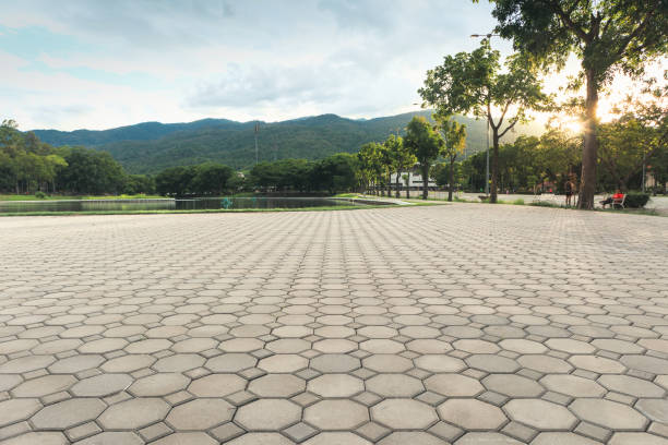 Best Driveway Paving Contractor  in USA